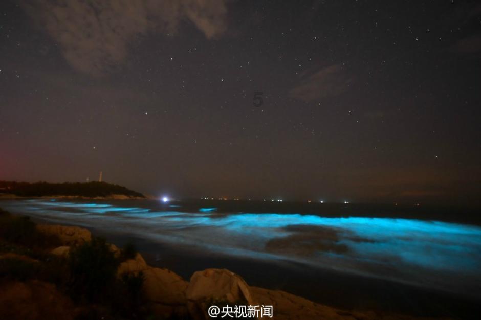 拯救可爱小公主
